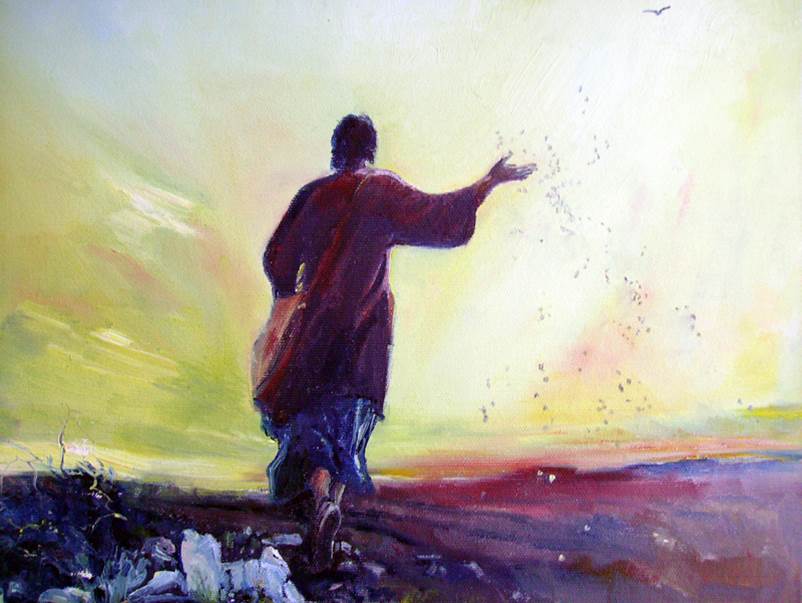 Chúa Nhật 11 Thường niên B