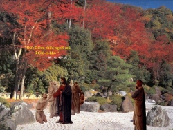 Chúa Nhật XXX thường niên B