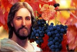 Chúa Nhật tuần V Phục Sinh