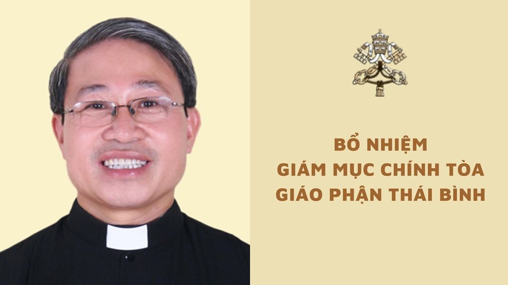 Bổ nhiệm Giám mục giáo phận Thái Bình