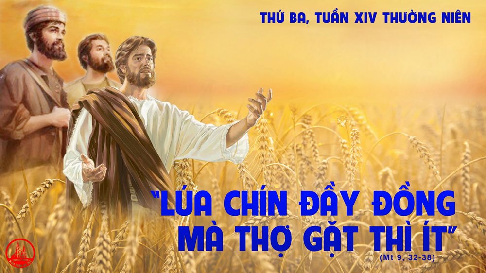 Thứ Ba tuần 14 thường niên. – Cánh đồng truyền giáo.